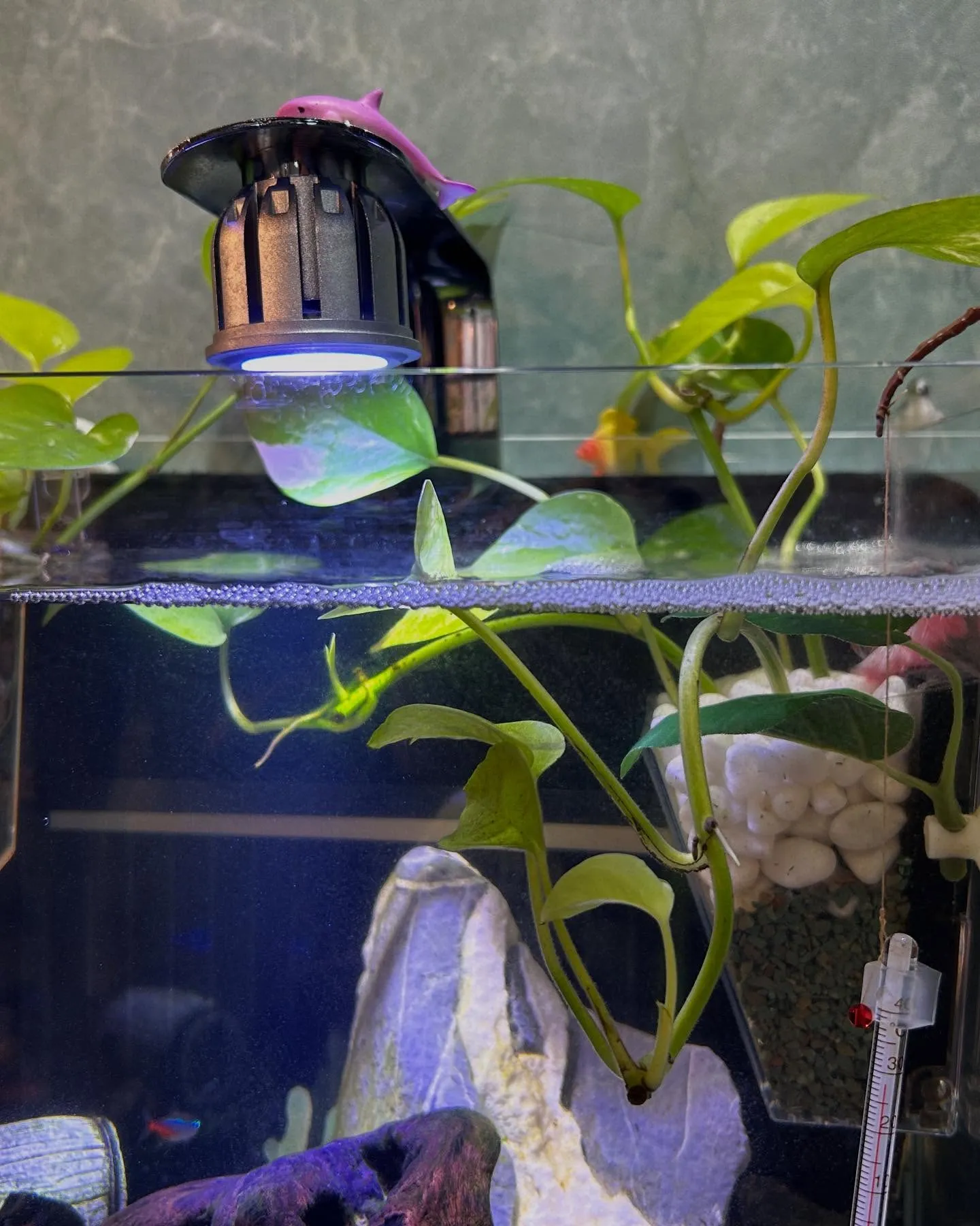 🌿ミントの香り🌿