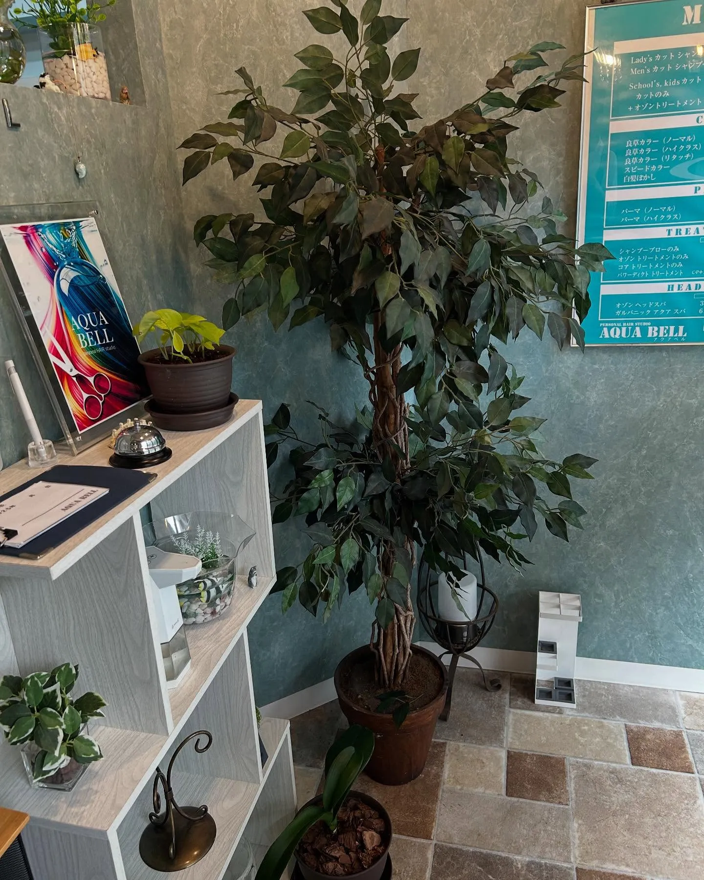店内緑化計画🍃