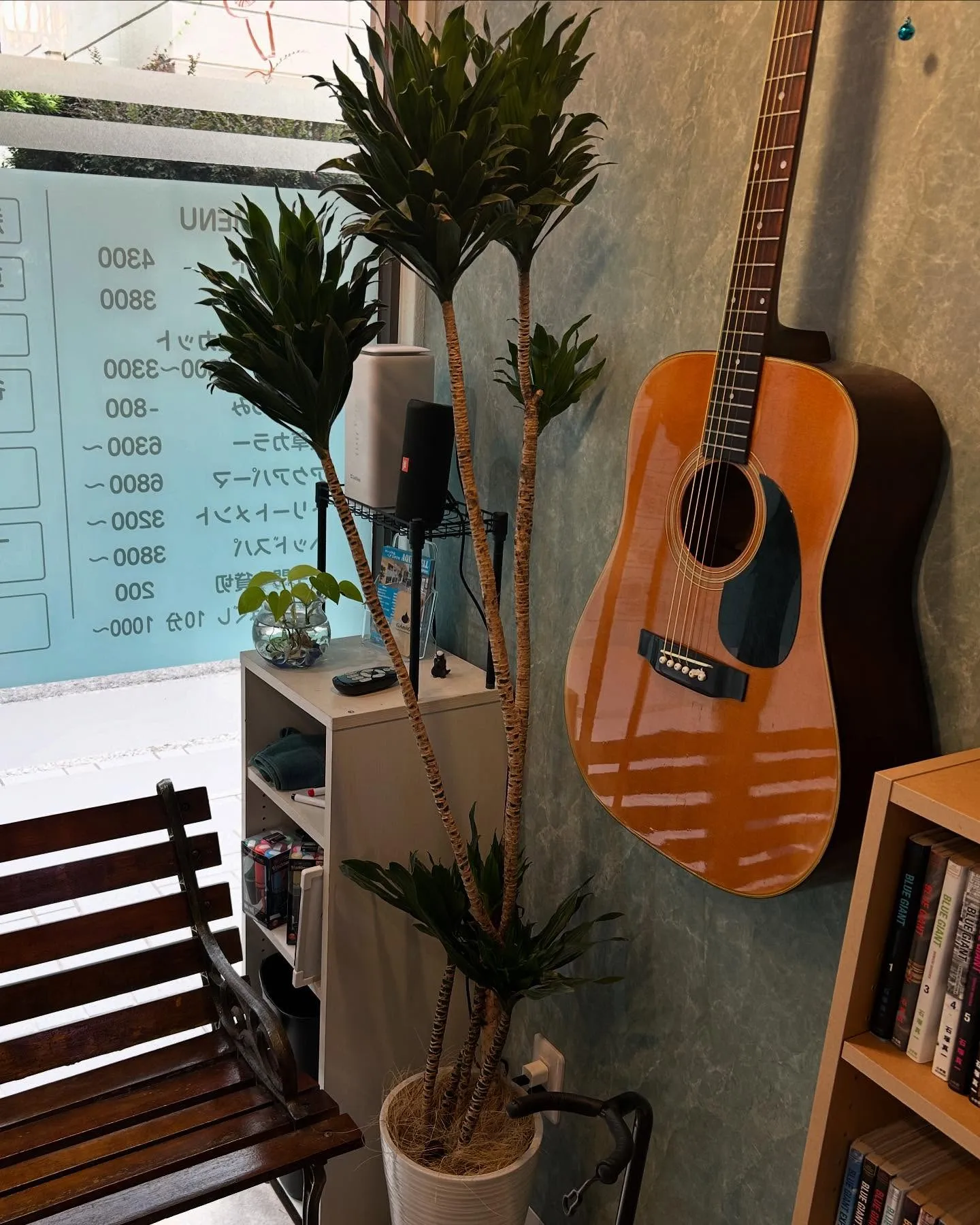 店内緑化計画🍃
