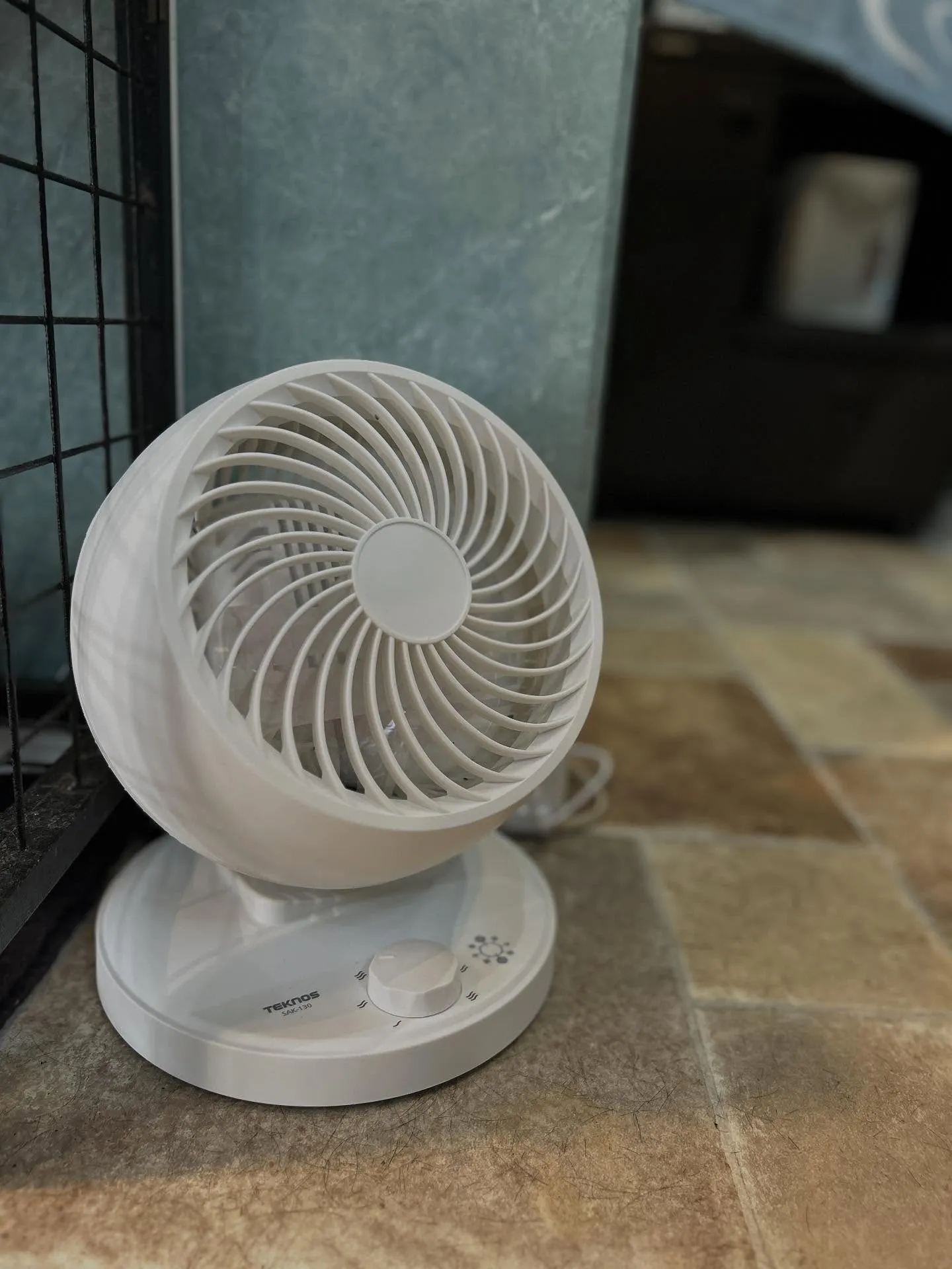 🌀サーキュレーターさまさま🌀