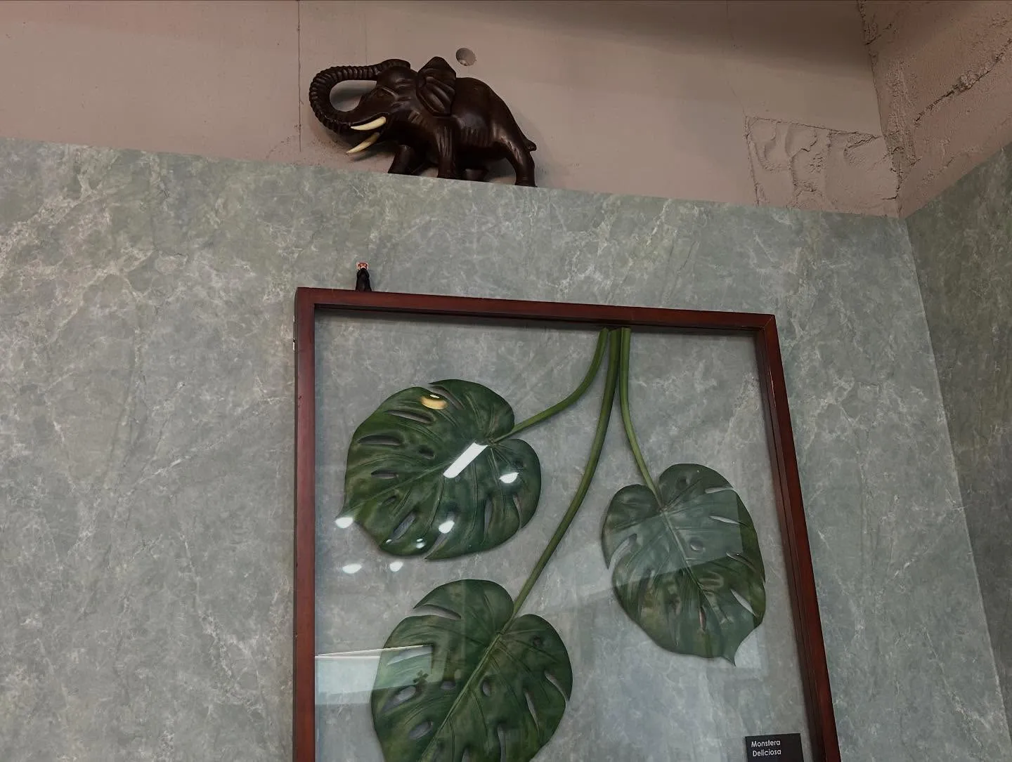 店内模様替え🏠