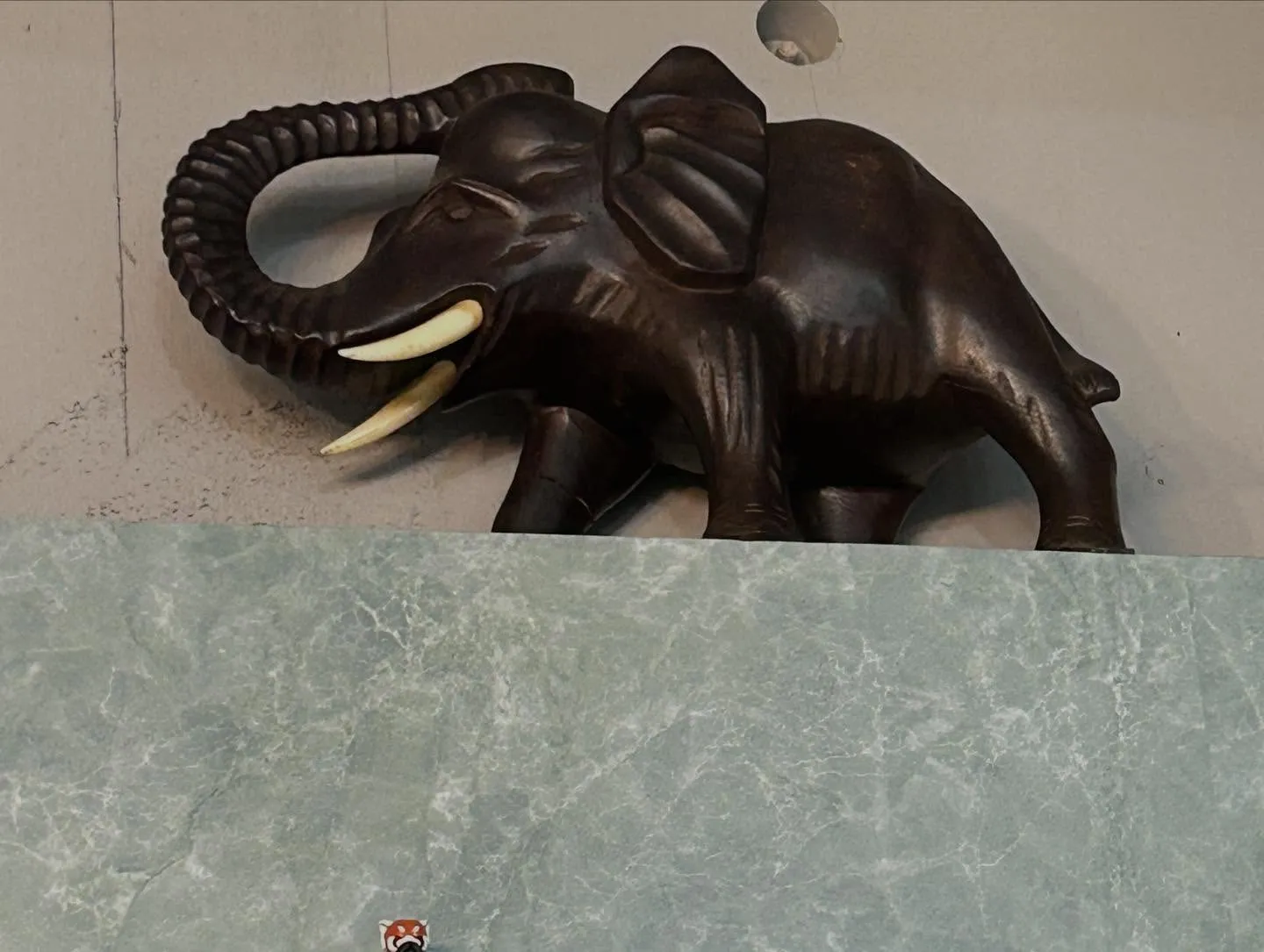 店内模様替え🏠