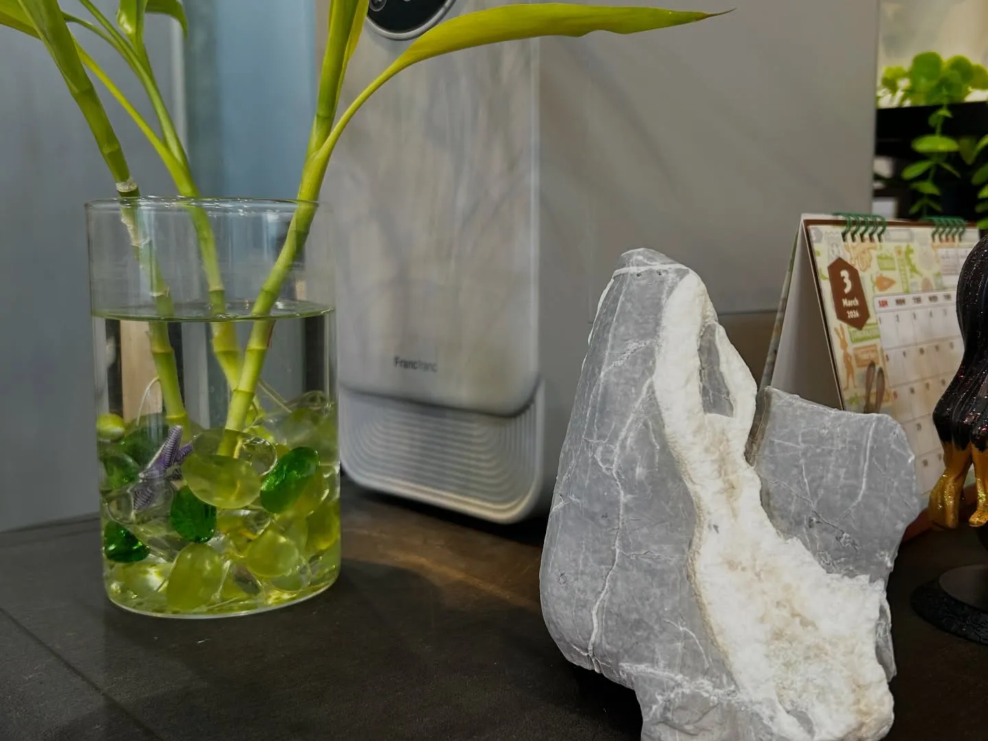 水槽お掃除中🐠