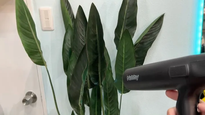 ドライヤーのご紹介💨