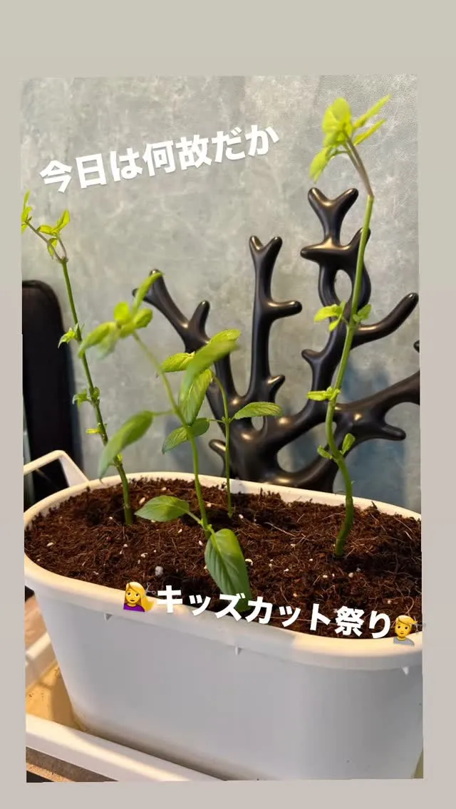 暑い夏が到来しましたね☀️