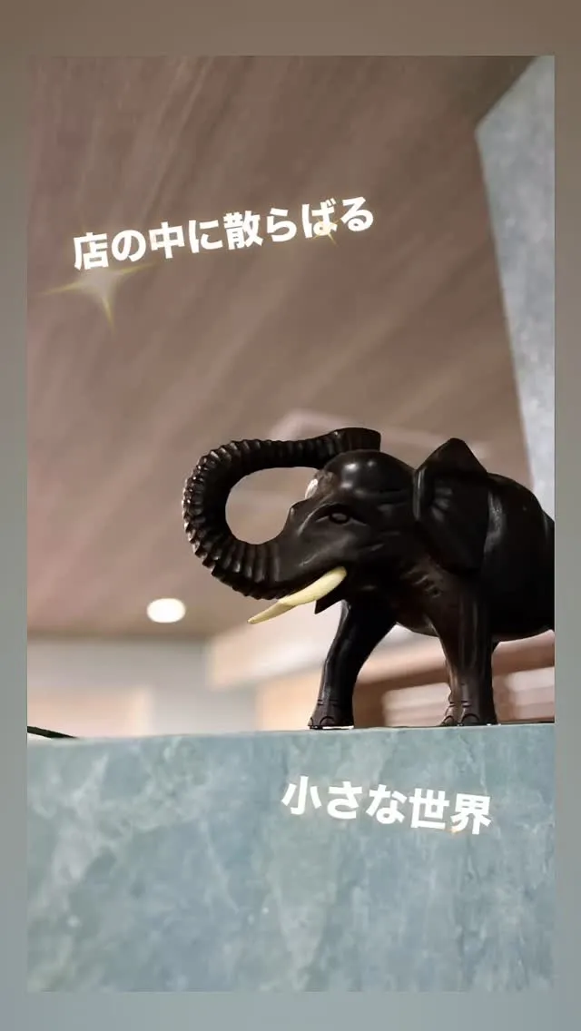 毎日暑いですね🫠